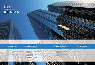 專(zhuān)業(yè)畫(huà)冊(cè)設(shè)計(jì) 全方位塑造企業(yè)形象，助力招商與品牌推廣